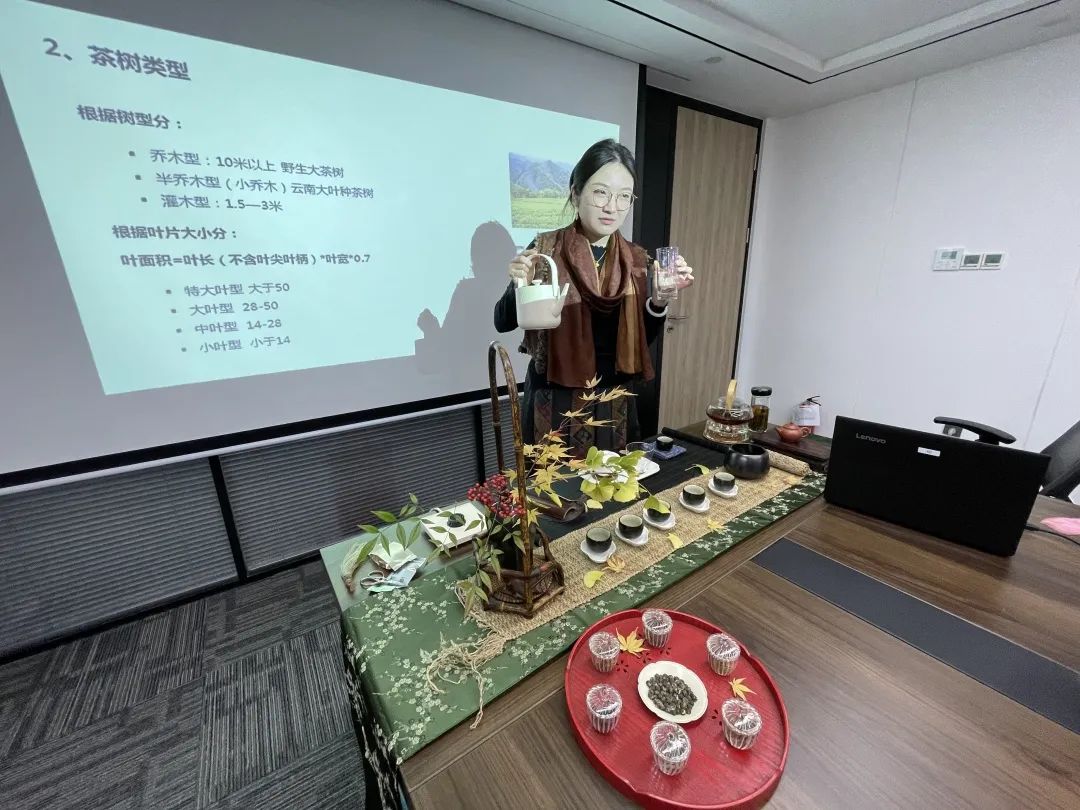 356体育在线官网